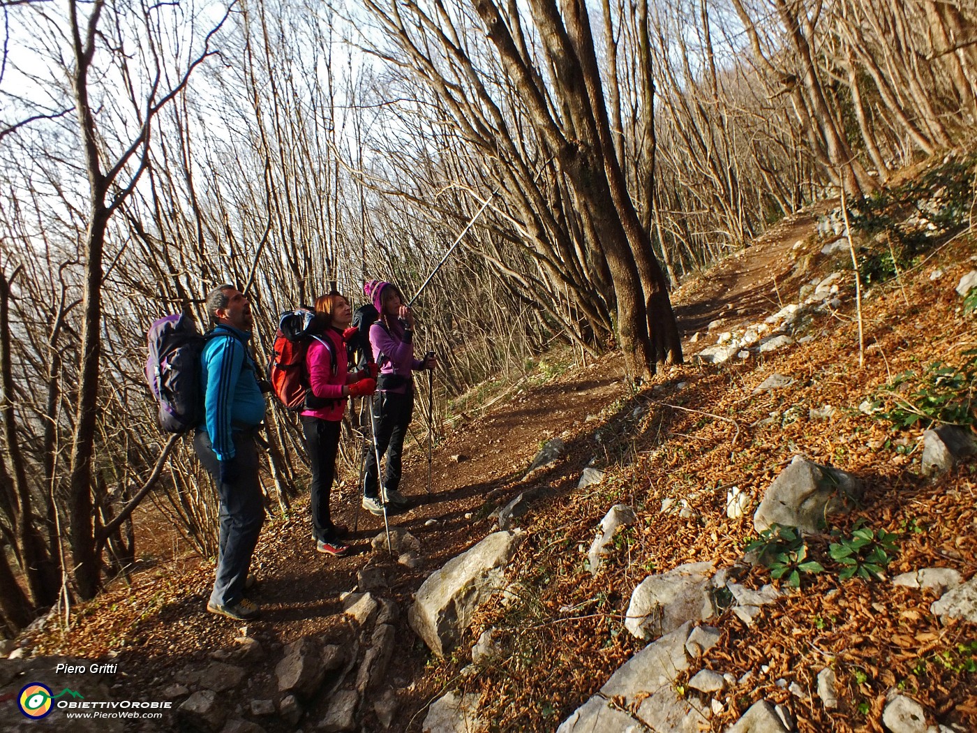 09 Nel bosco osservando i tipi di piante .JPG